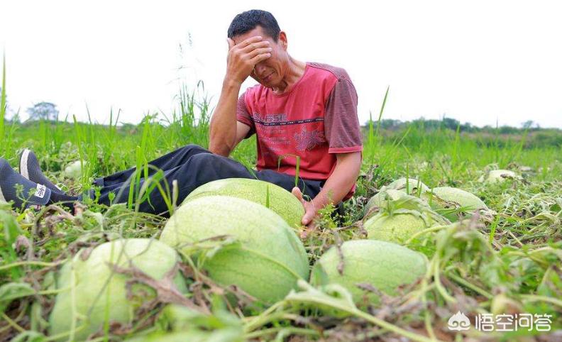 山西一男子持刀捅死西瓜商贩