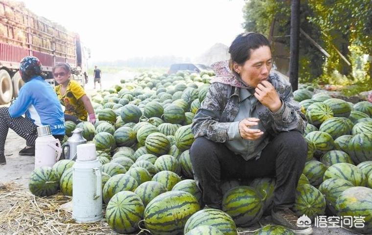 山西一男子持刀捅死西瓜商贩