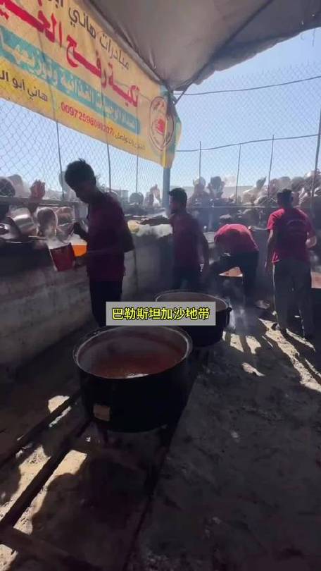 澳门研究生最新资料和加沙数万难民抢食物与加沙数万难民抢食物视频