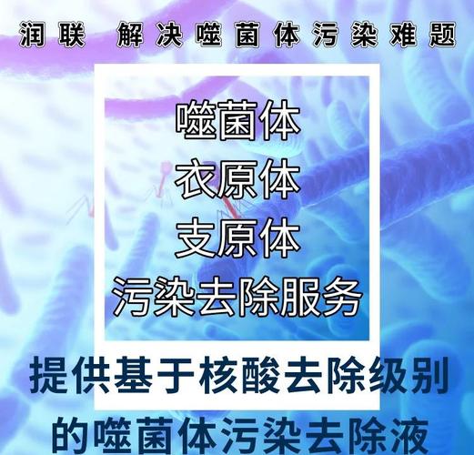 2025年6月5日 第30页