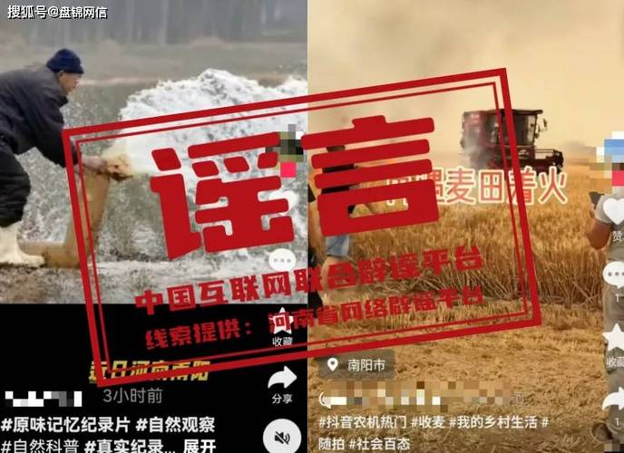 2025澳门今晚开奖结果和辟谣可买高考试题与高考谣言