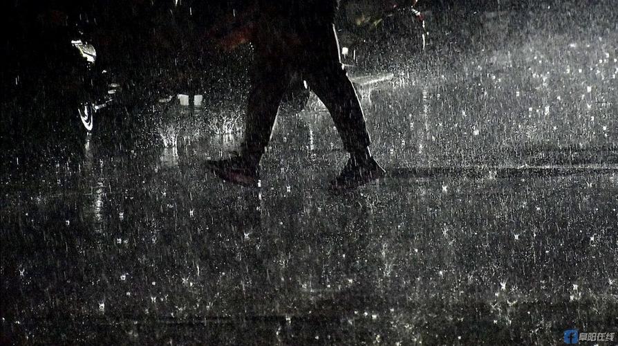 994.994.cσm查询开奖号码和教授雨夜爬山坠崖与教授雨夜爬山坠崖的故事