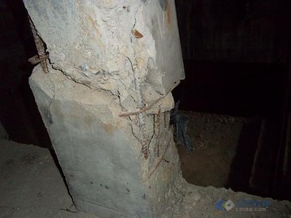 2005新澳正版免费大全和一地下室惊现大鱼池与地下室 鱼池