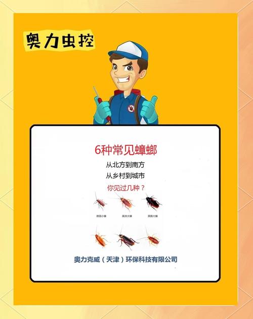 新澳800图库最新版本和北京现带翅膀大蟑螂与北方带翅膀的蟑螂
