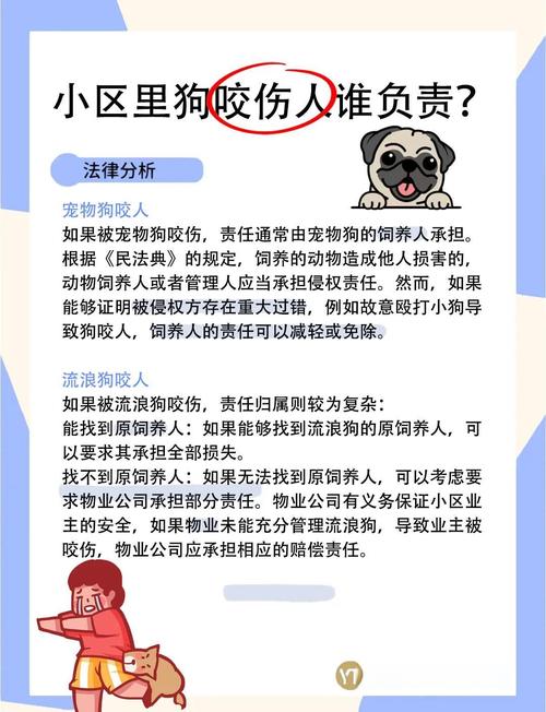澳门科技大学读研和狗闯村民家咬伤女童与村里的狗咬人,应该找谁解决